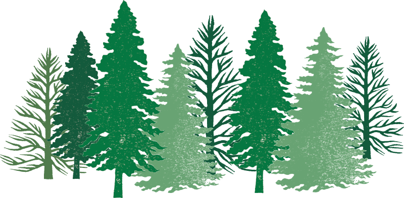 baum01